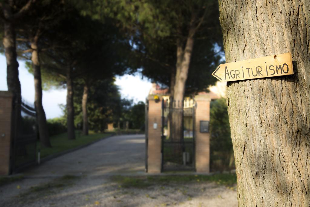 Agriturismo Ae Cavane Codevigo Exterior foto